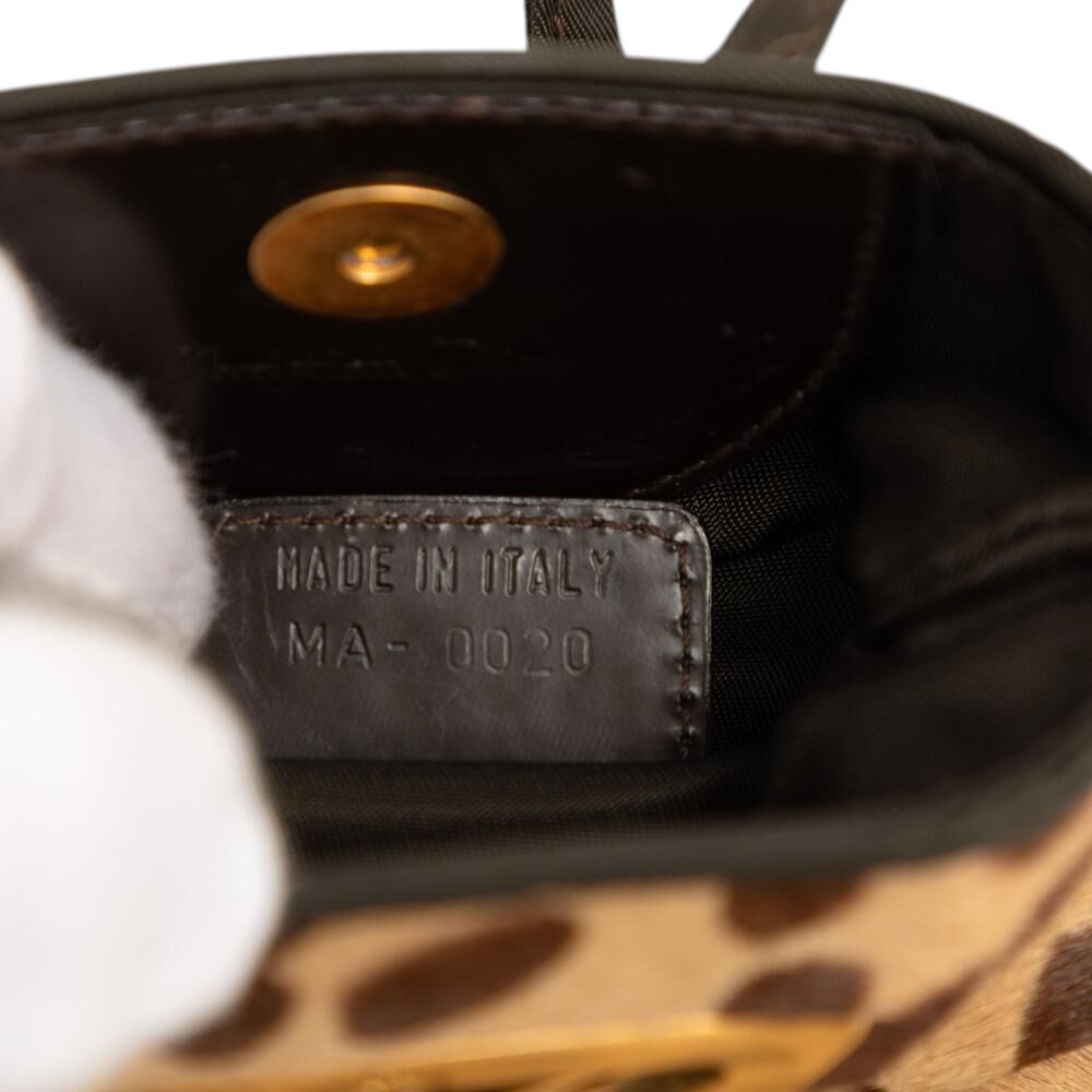 Dior Crossbody Bag