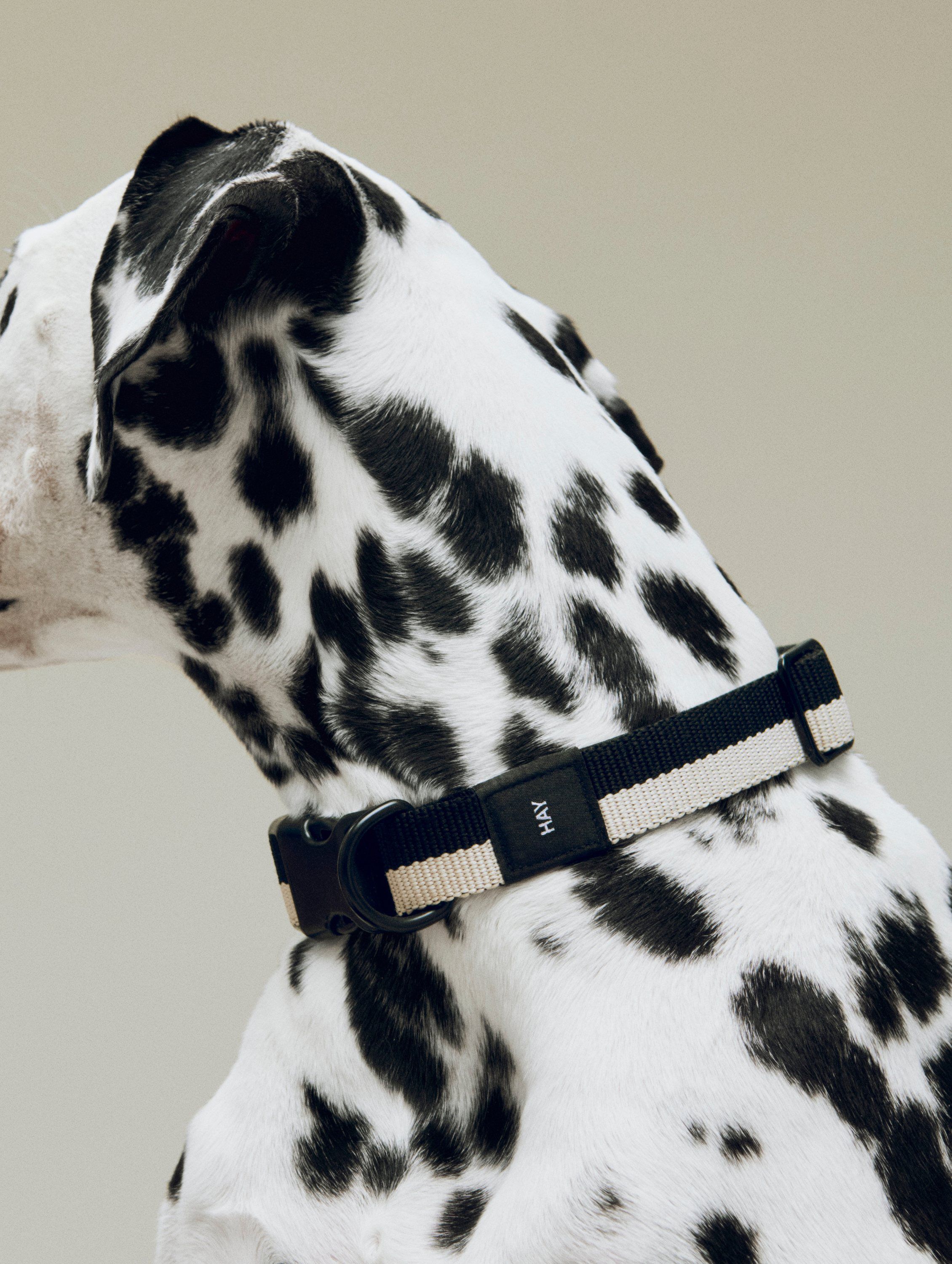 HAY Dogs Collar Flat-M/L-Black, whi