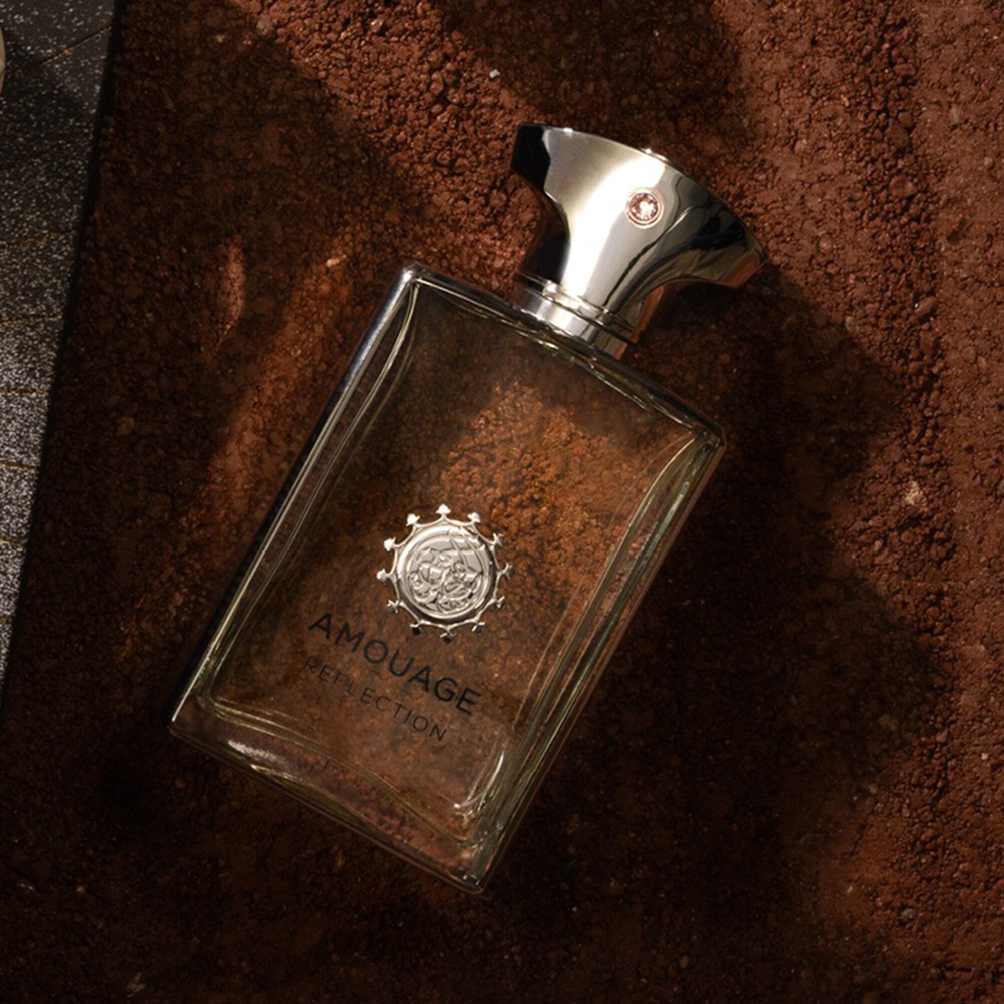 AMOUAGE REFLECTION MAN EDP 100ML