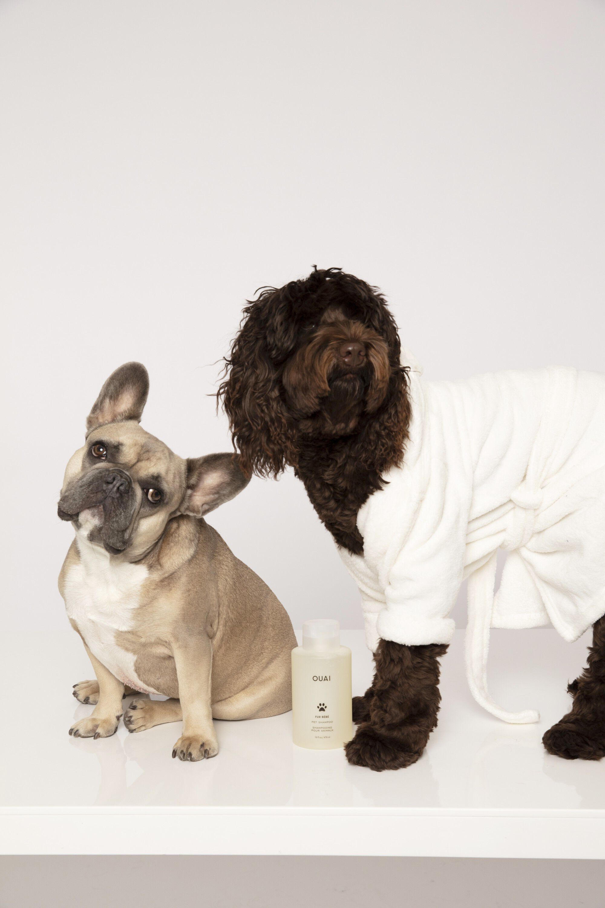 FUR B&Eacute;B&Eacute; PET SHAMPOO