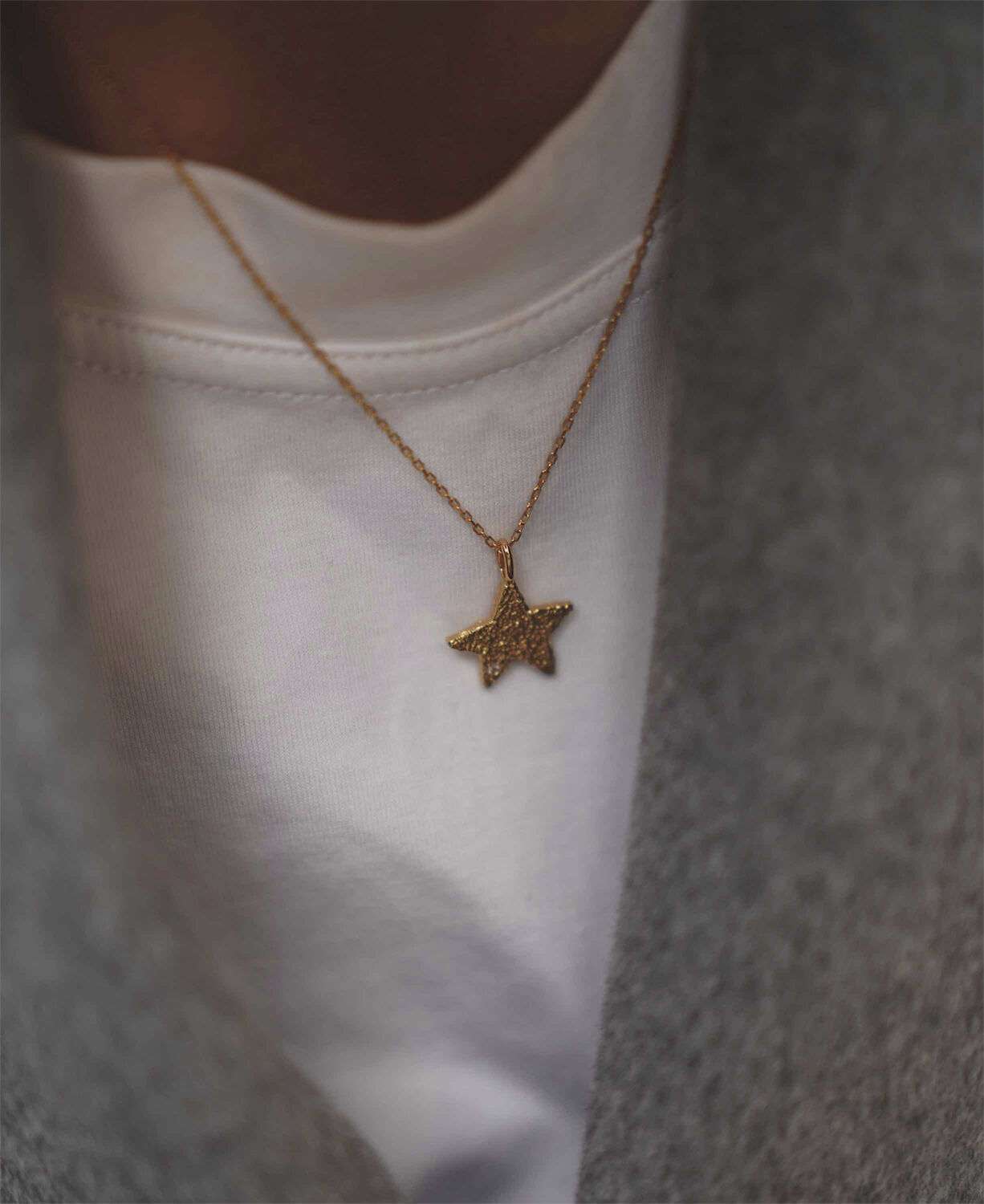 Astra halsk&aelig;de