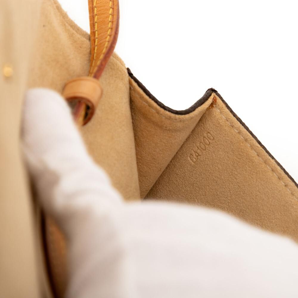 Louis Vuitton Twin Pochette