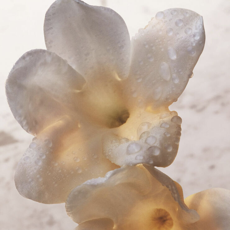 Olympea Deodorant Spray 150 ml.