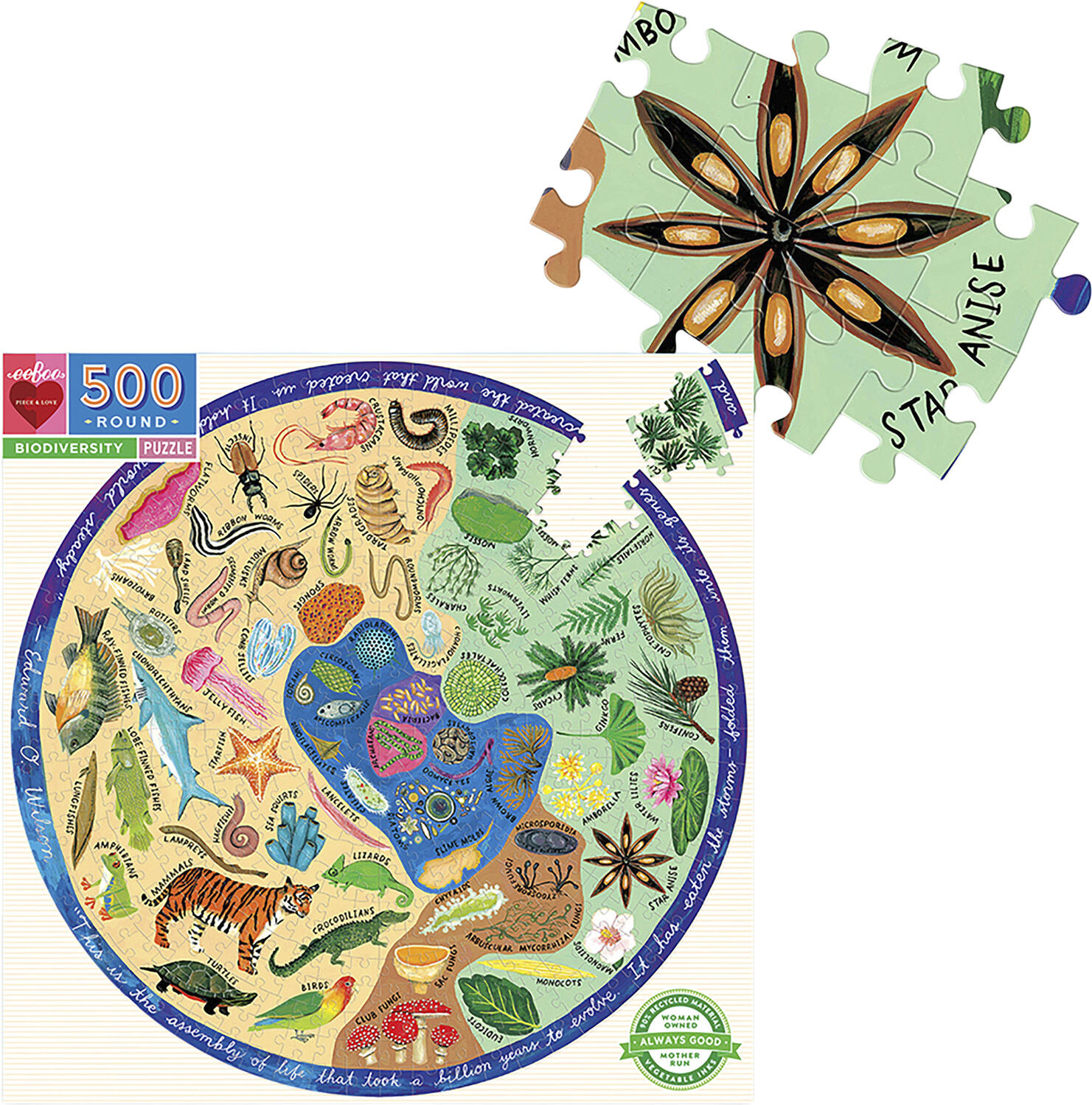 eeBoo - Rundt puslespil 500 brk - Biodiversitet