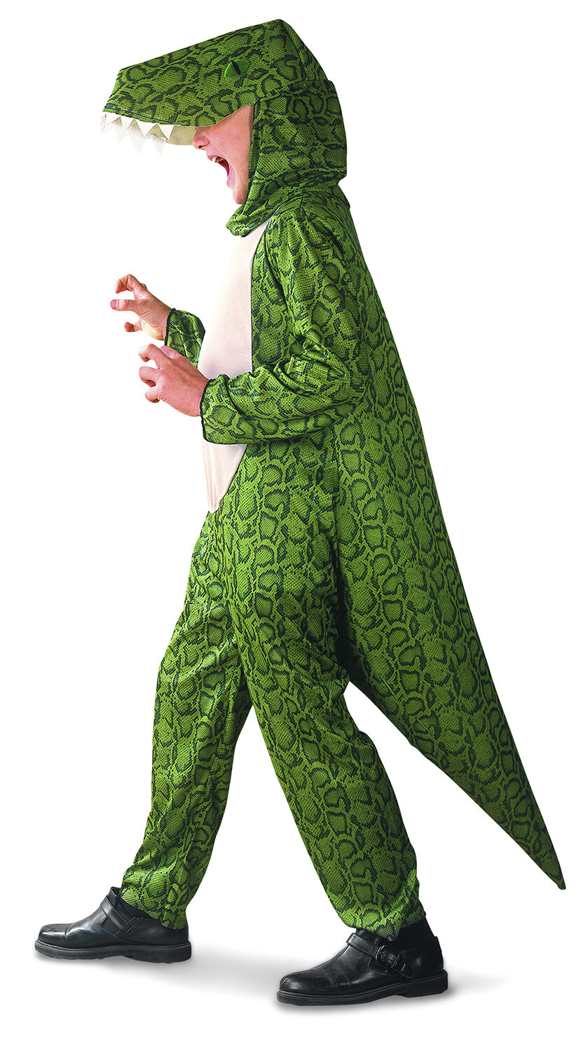 Dinosauriedr&auml;kt