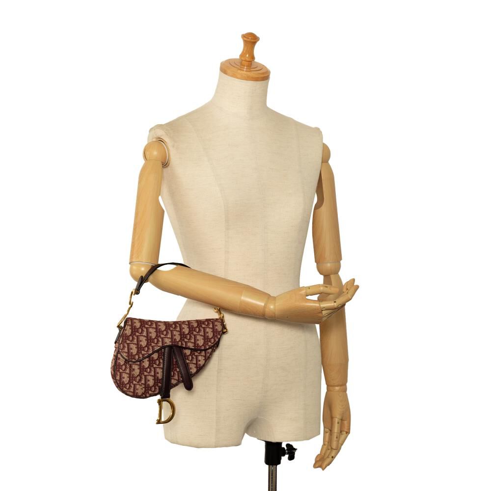 Dior Saddle Bag
