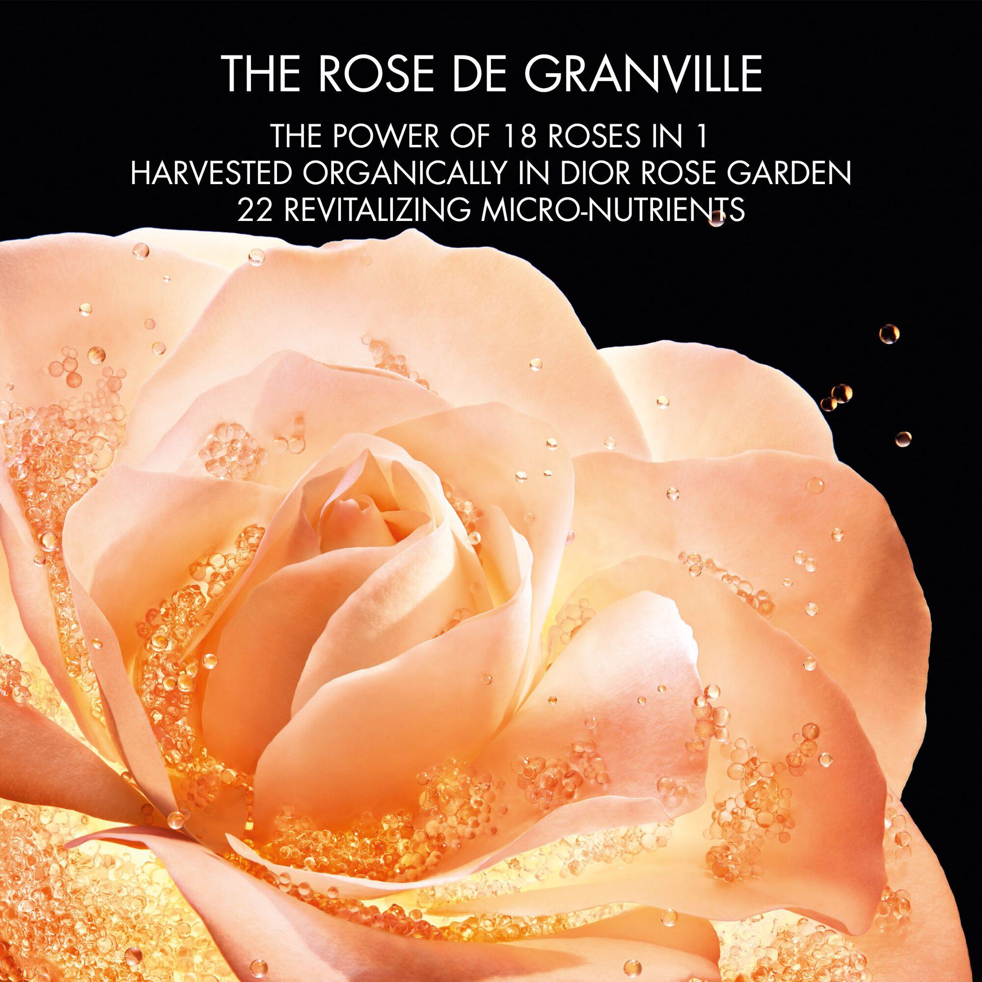 Prestige Micro- Serum de Rose Yeux 20ML INT25