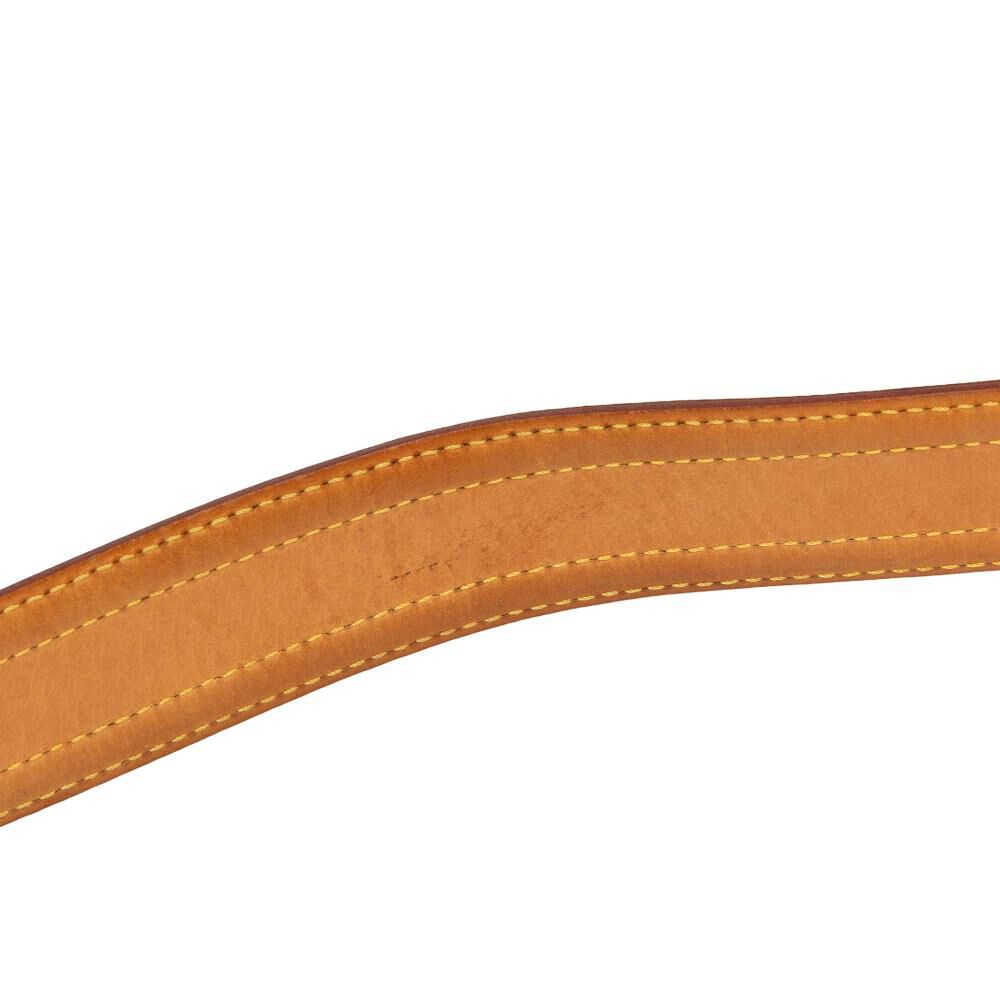 Louis Vuitton Cite