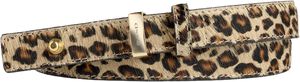 Belt WW - B136 - 25 mm