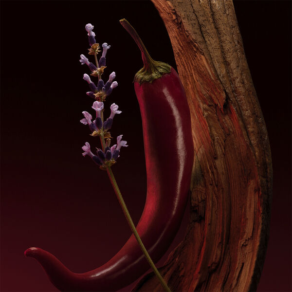 The Scent Elixir Parfum Intense