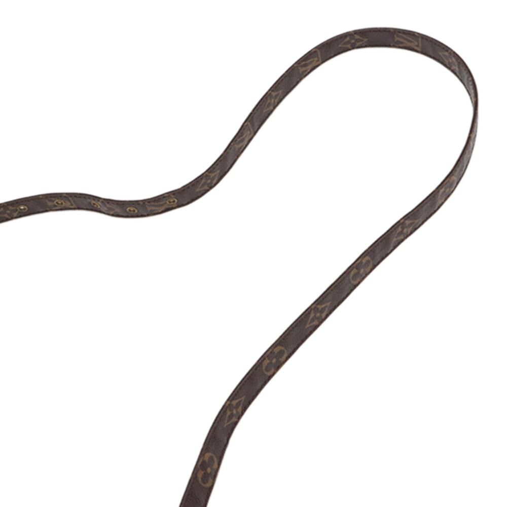 Louis Vuitton Crossbody Bag