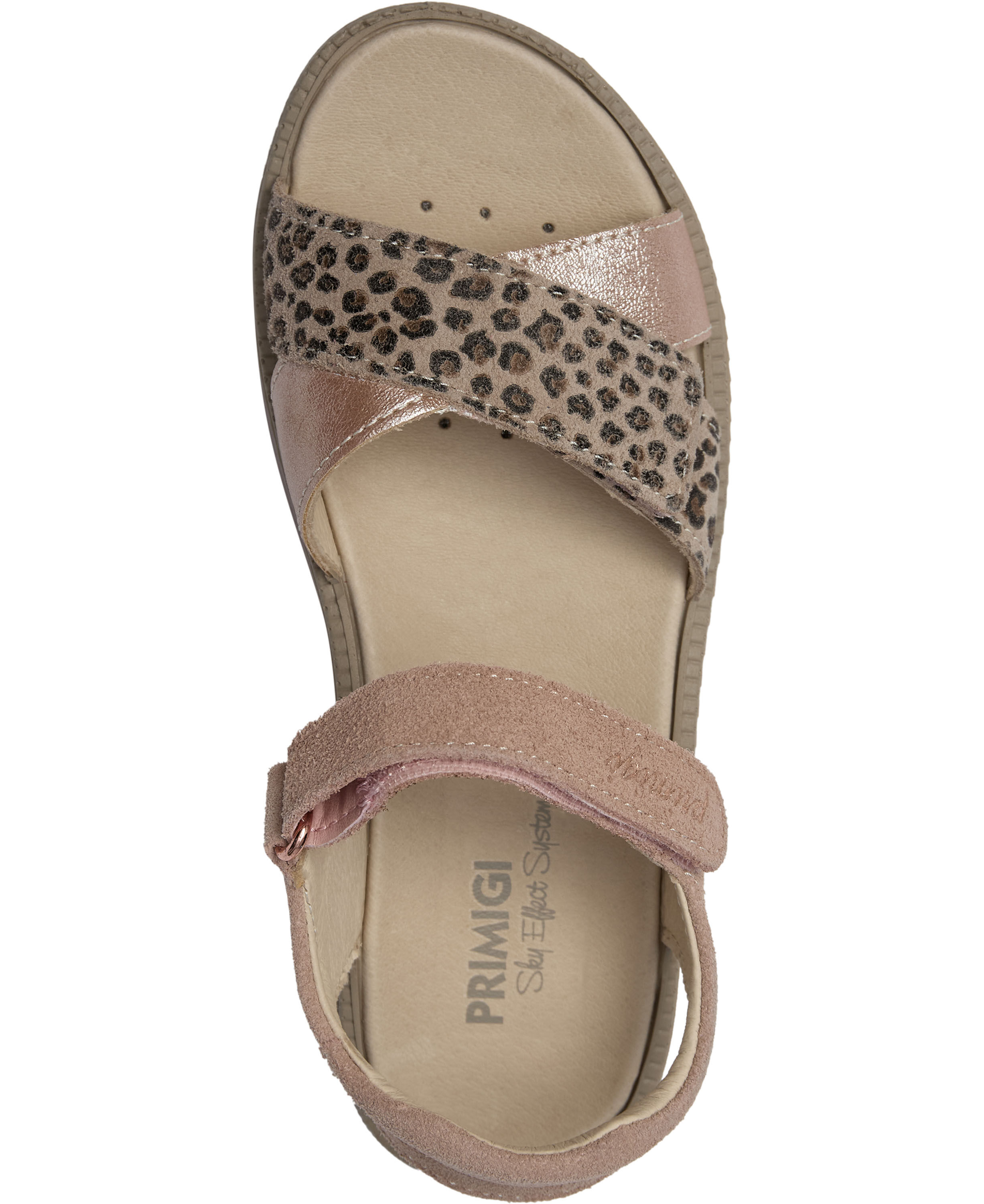 PAL 13853 SUEDE-PRINTED SUEDE