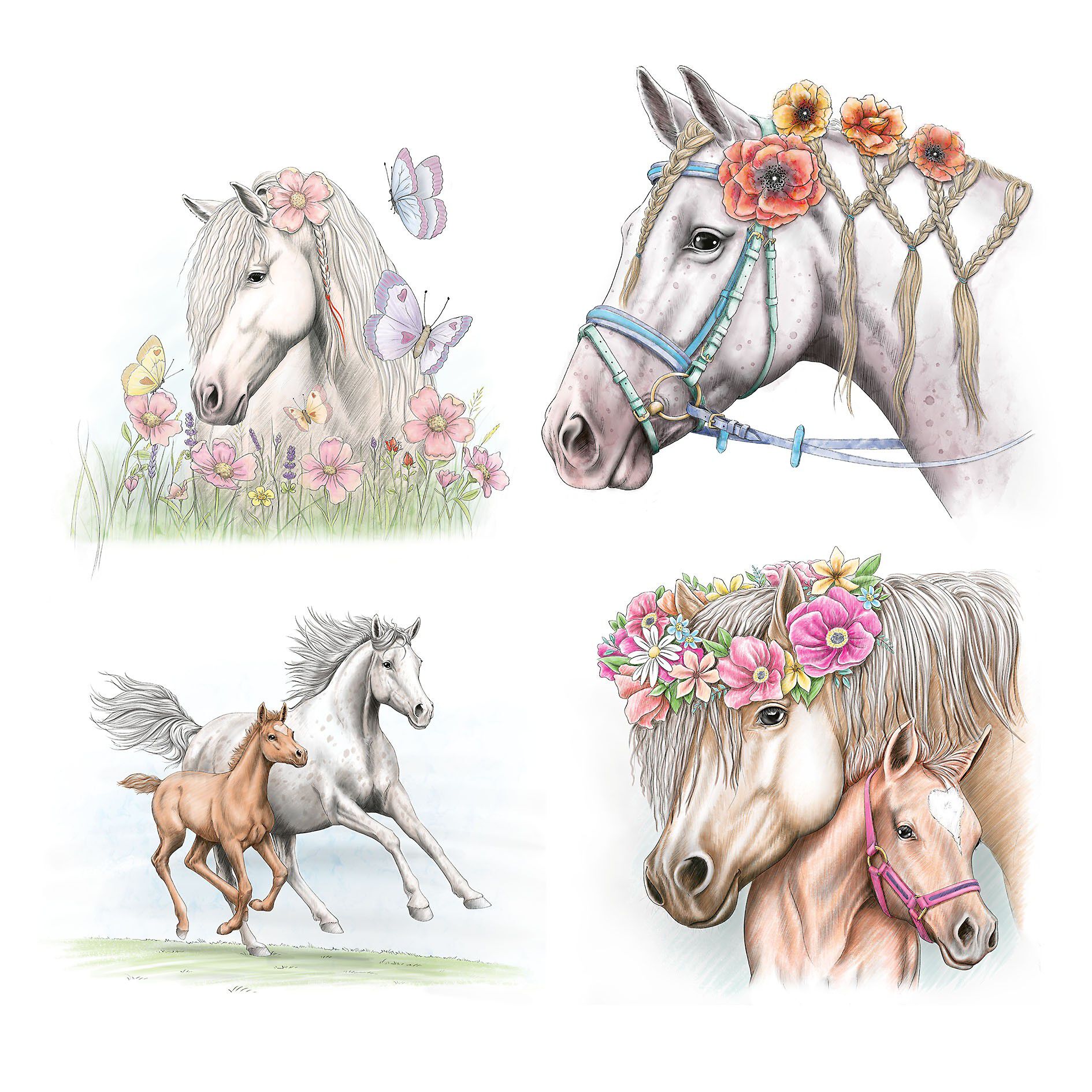 Miss Melody Special Maleb