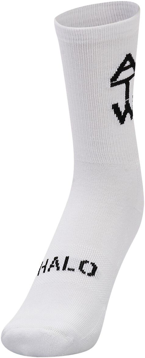HALO ESSENTIAL COTTON SOCKS