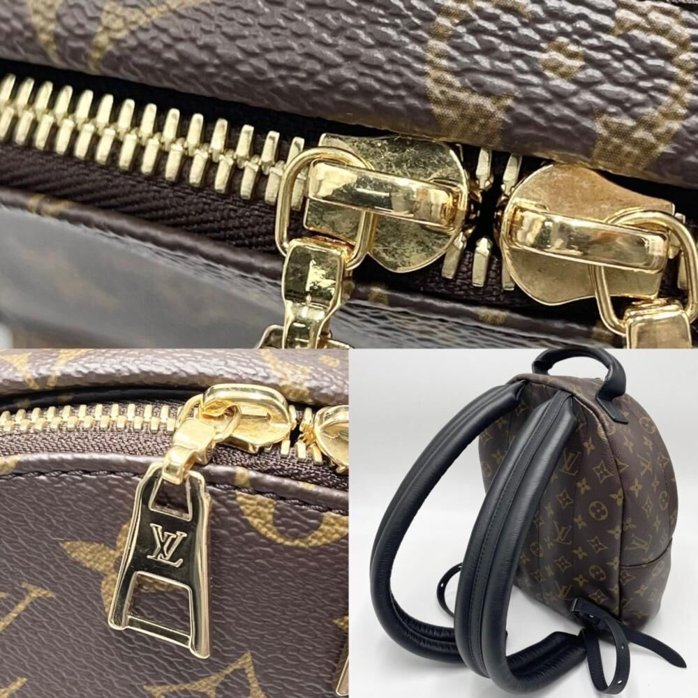 Louis Vuitton Palm Springs