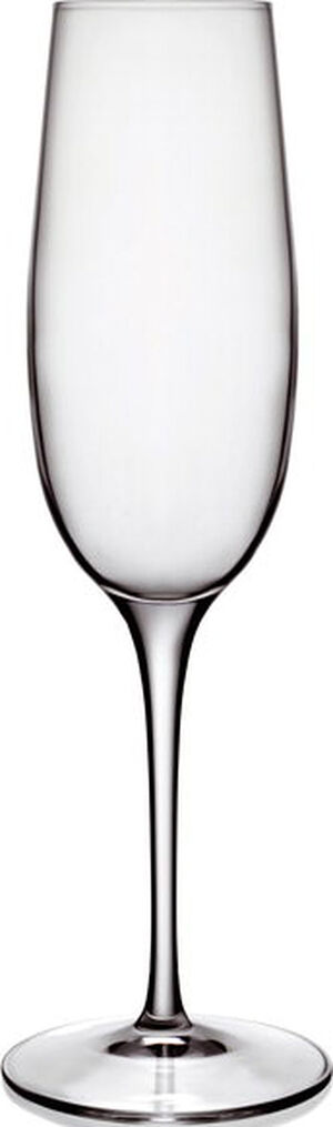 Champagneglass Palace 23,5 cl 6 stk. Klar