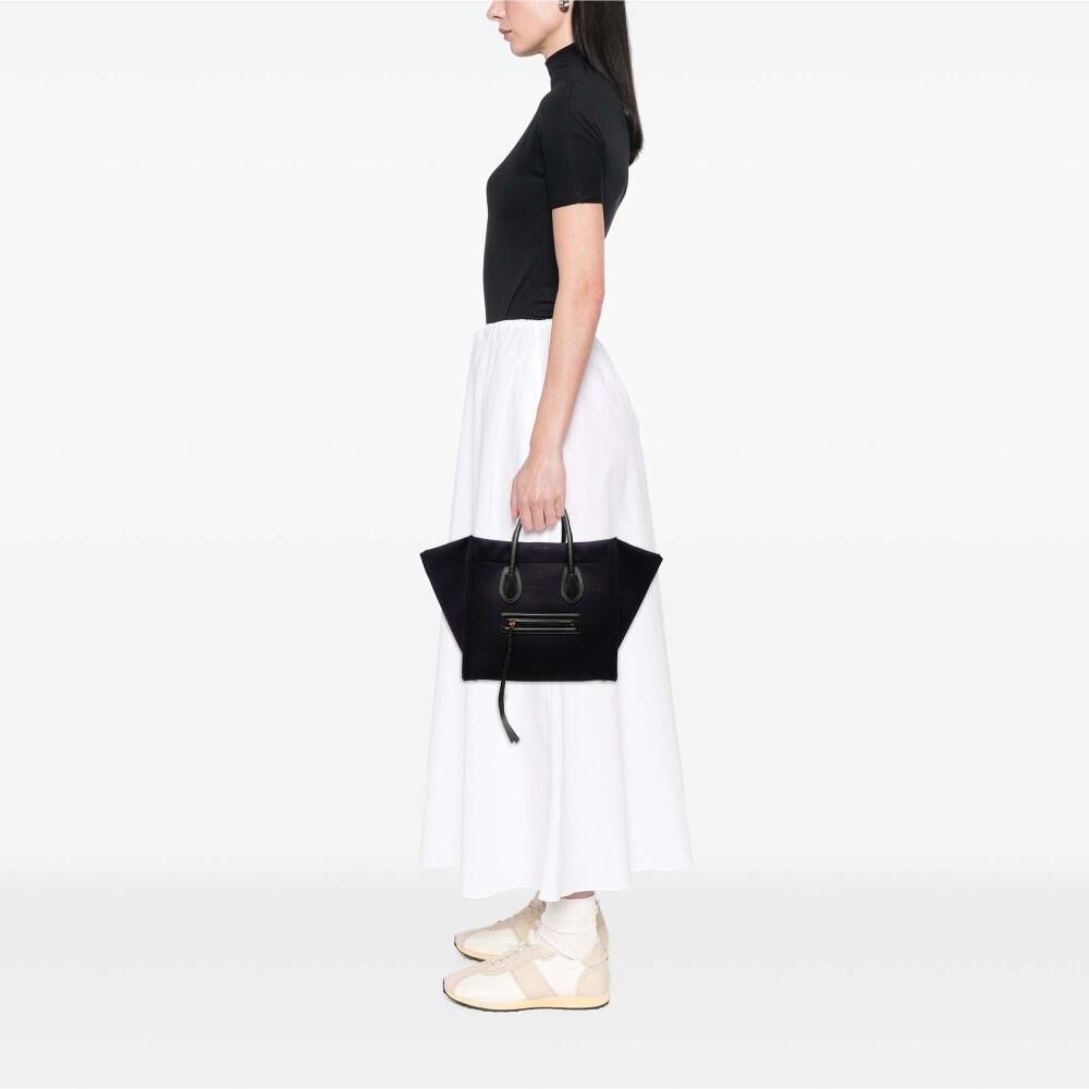 Celine Luggage