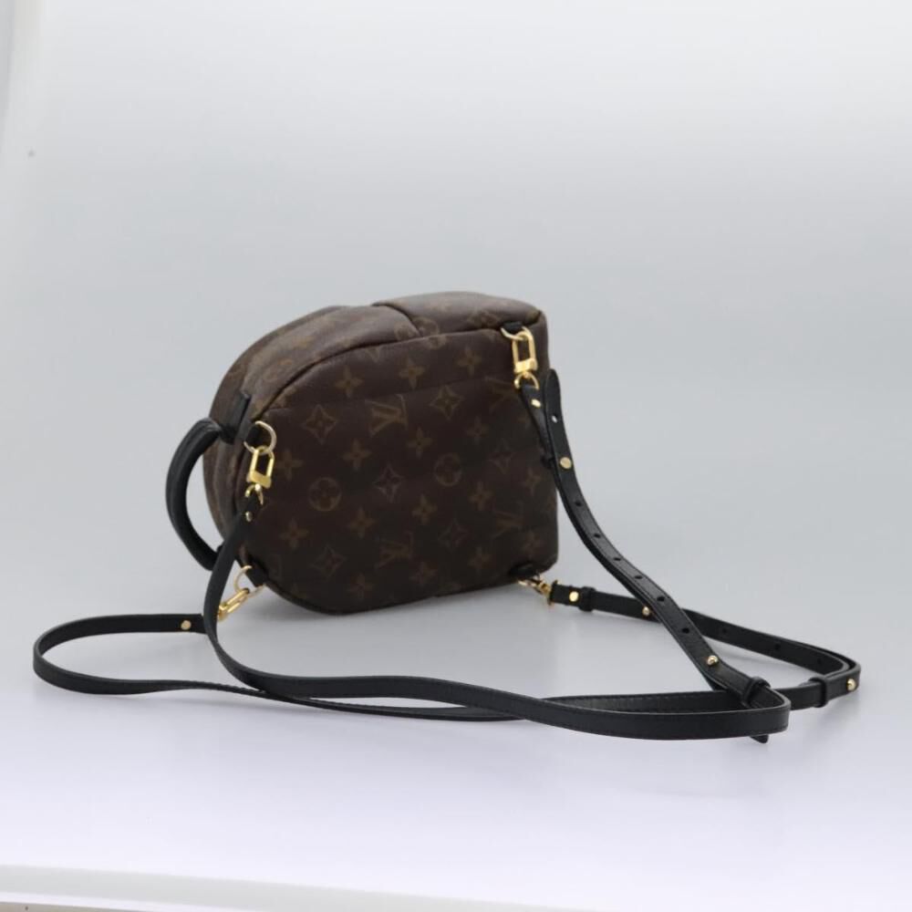 Louis Vuitton Palm Springs