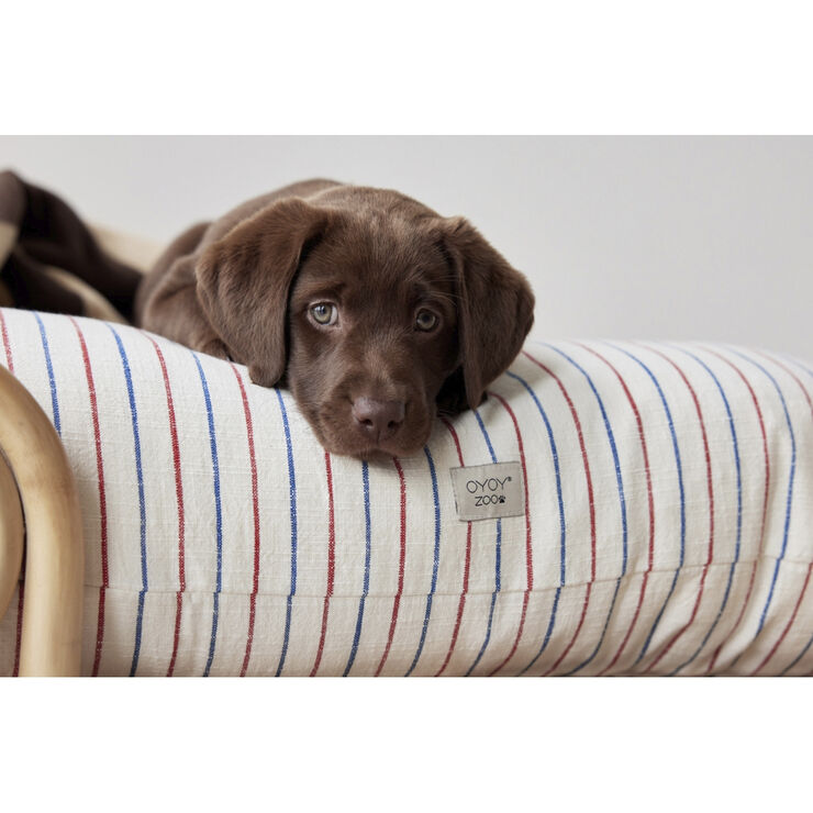 Kyoto Hundepude - Medium