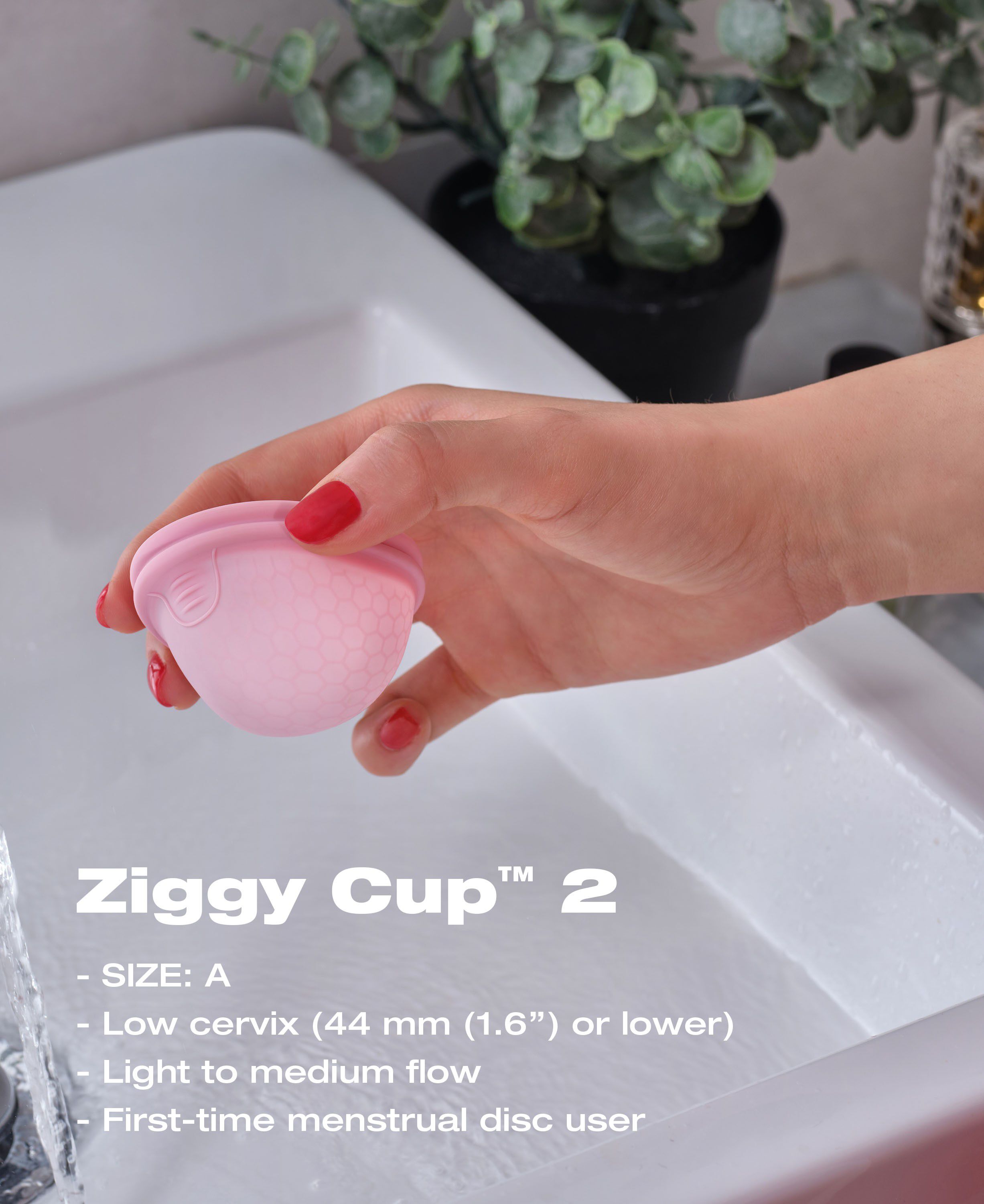Ziggy Cup 2 Size A