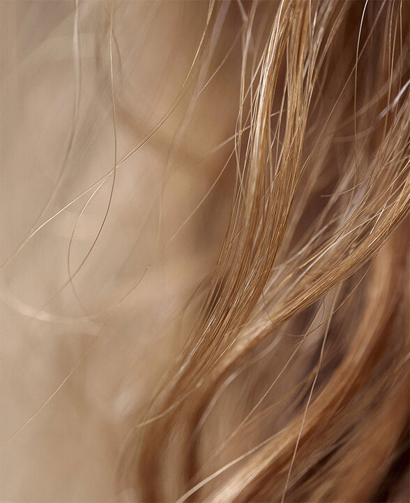 Hair Rituel by Sisley The Intense Nutrition Hair Care Mask