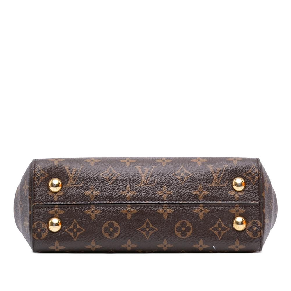 Louis Vuitton Cluny