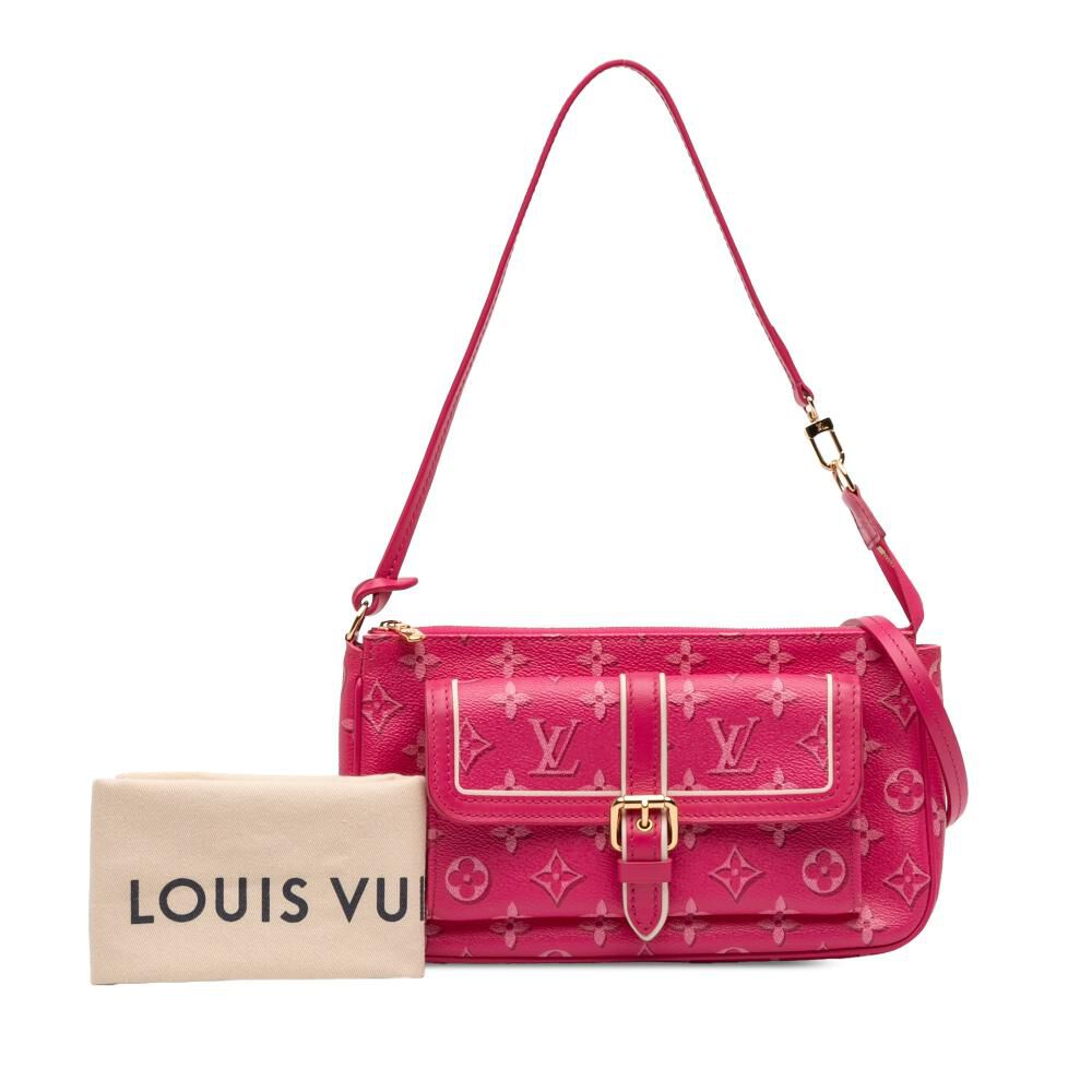 Louis Vuitton Multi Pochette Accessoires