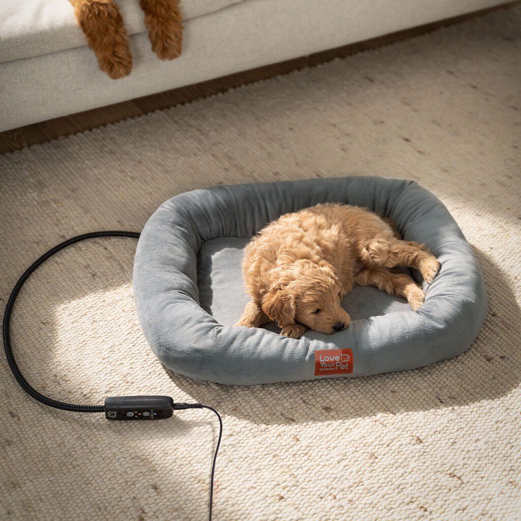 PetCare PP 250 Kira V&auml;rmes&auml;ng f&ouml;r husdjur 58x50 cm