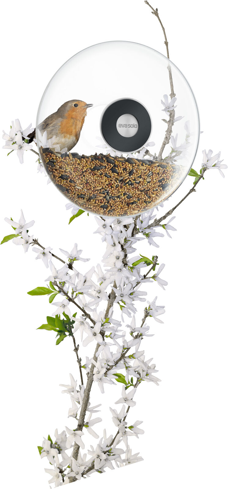 F&ouml;nstermont. f&aring;gelmatare stor