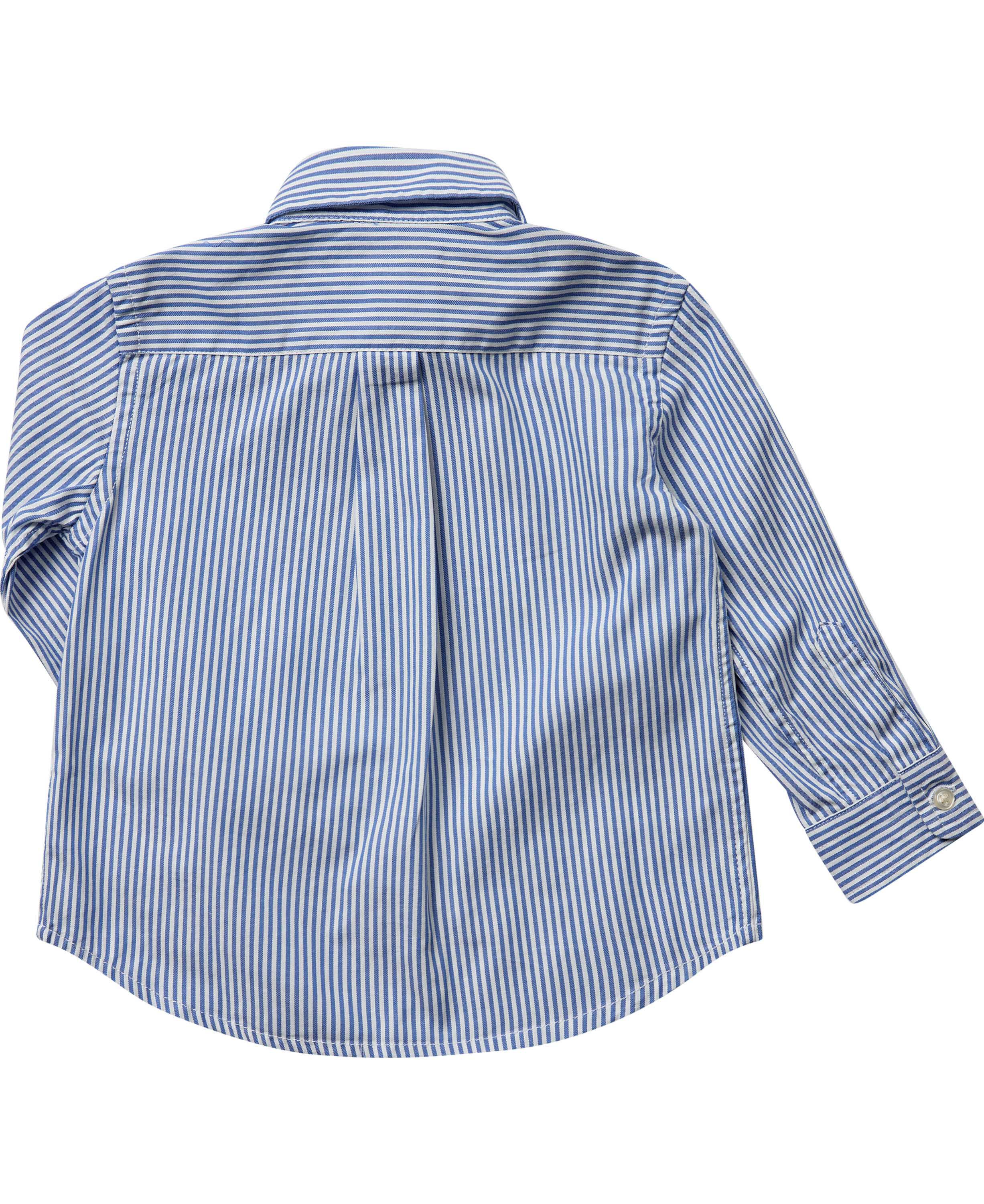 Striped Cotton Oxford Shirt