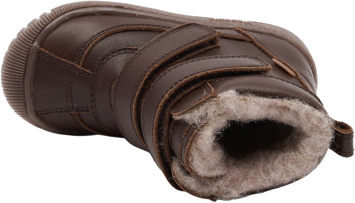 Bisgaard Ellis Tex