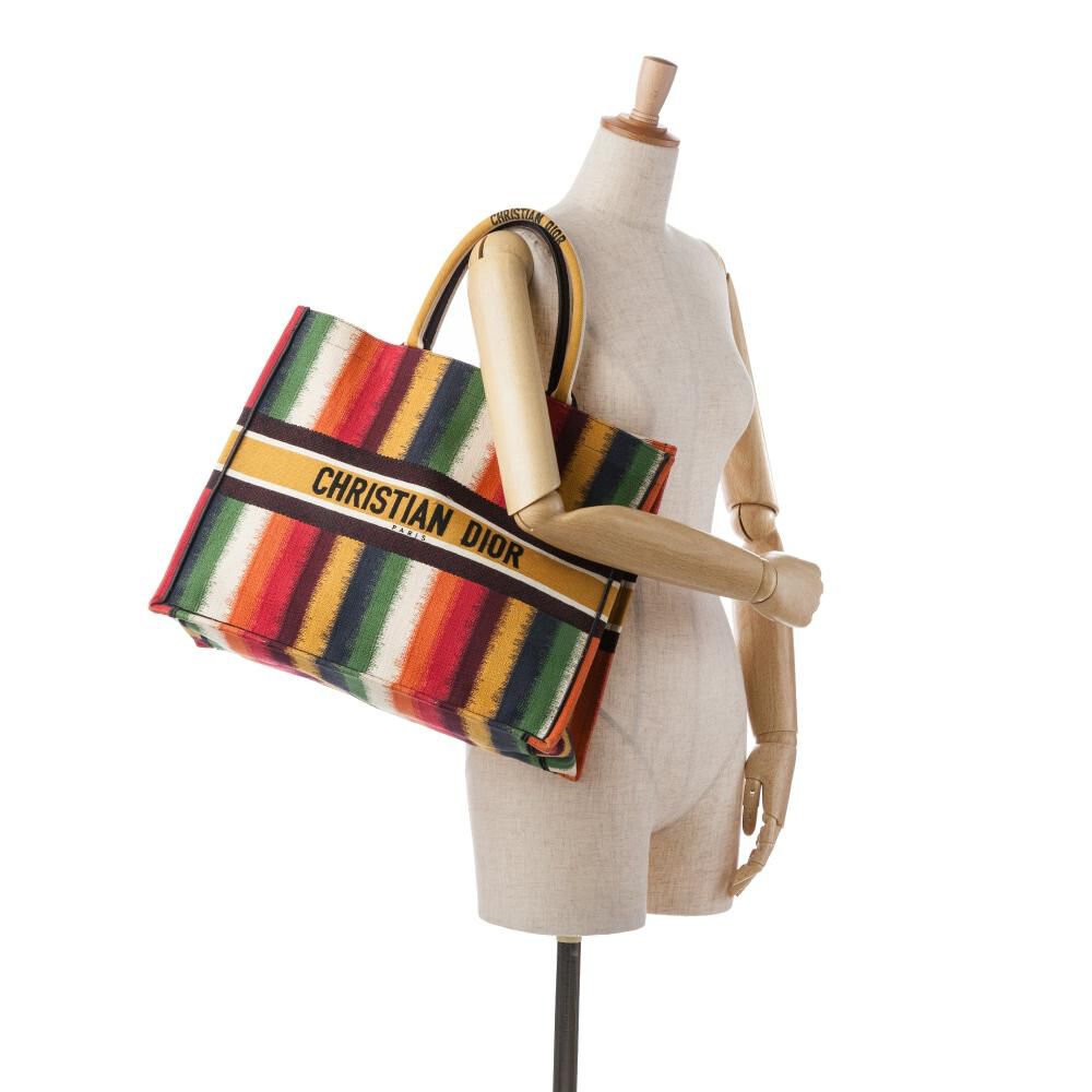 Dior Book Tote