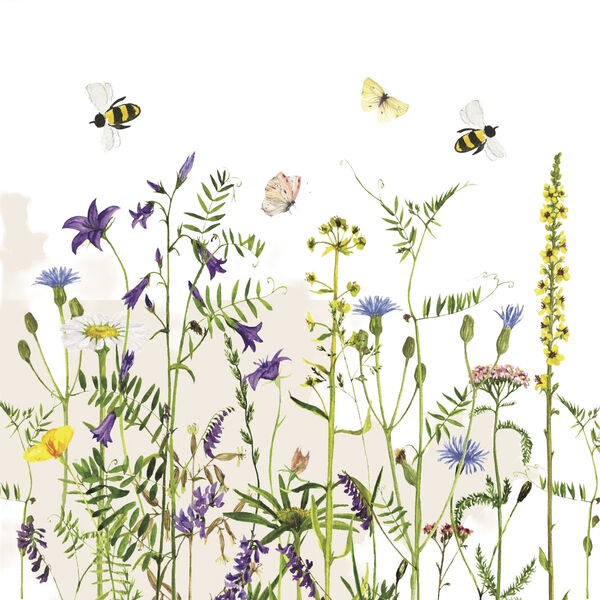 Serviet Summer Field