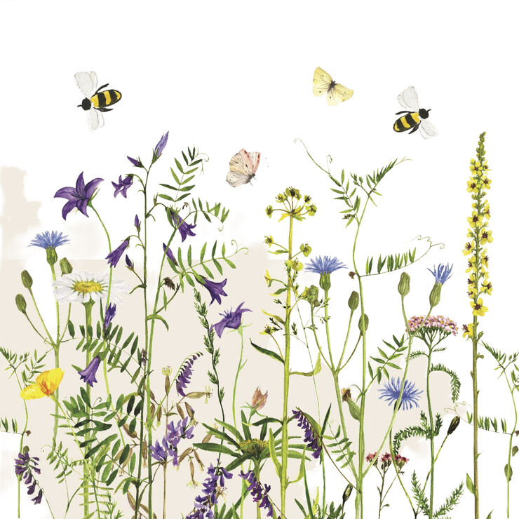 Serviet Summer Field