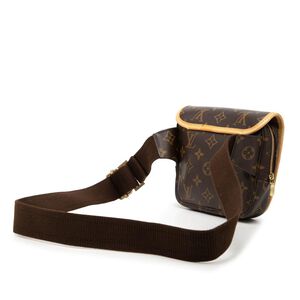 Louis Vuitton Belt Bags