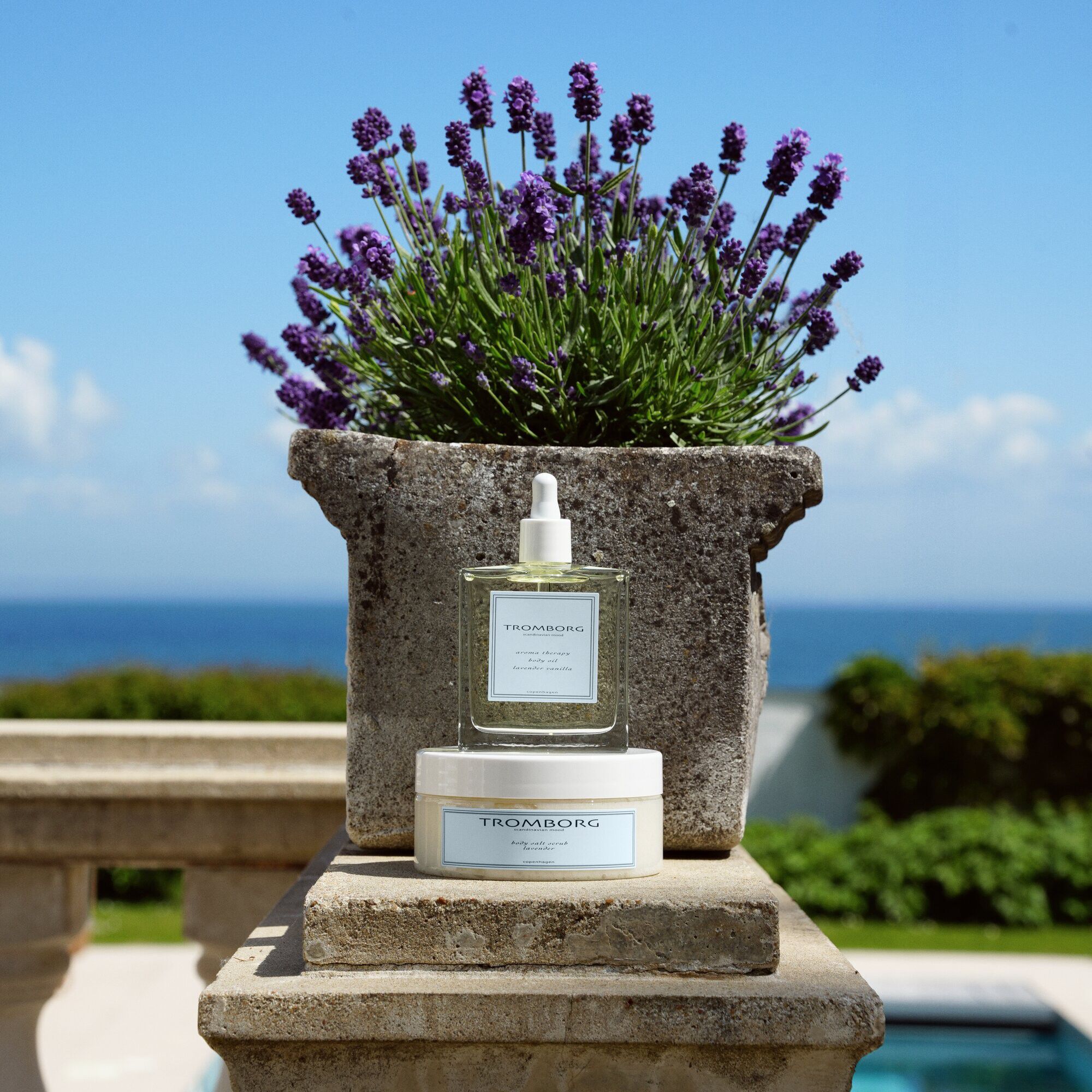 Body Salt Scrub - Lavender