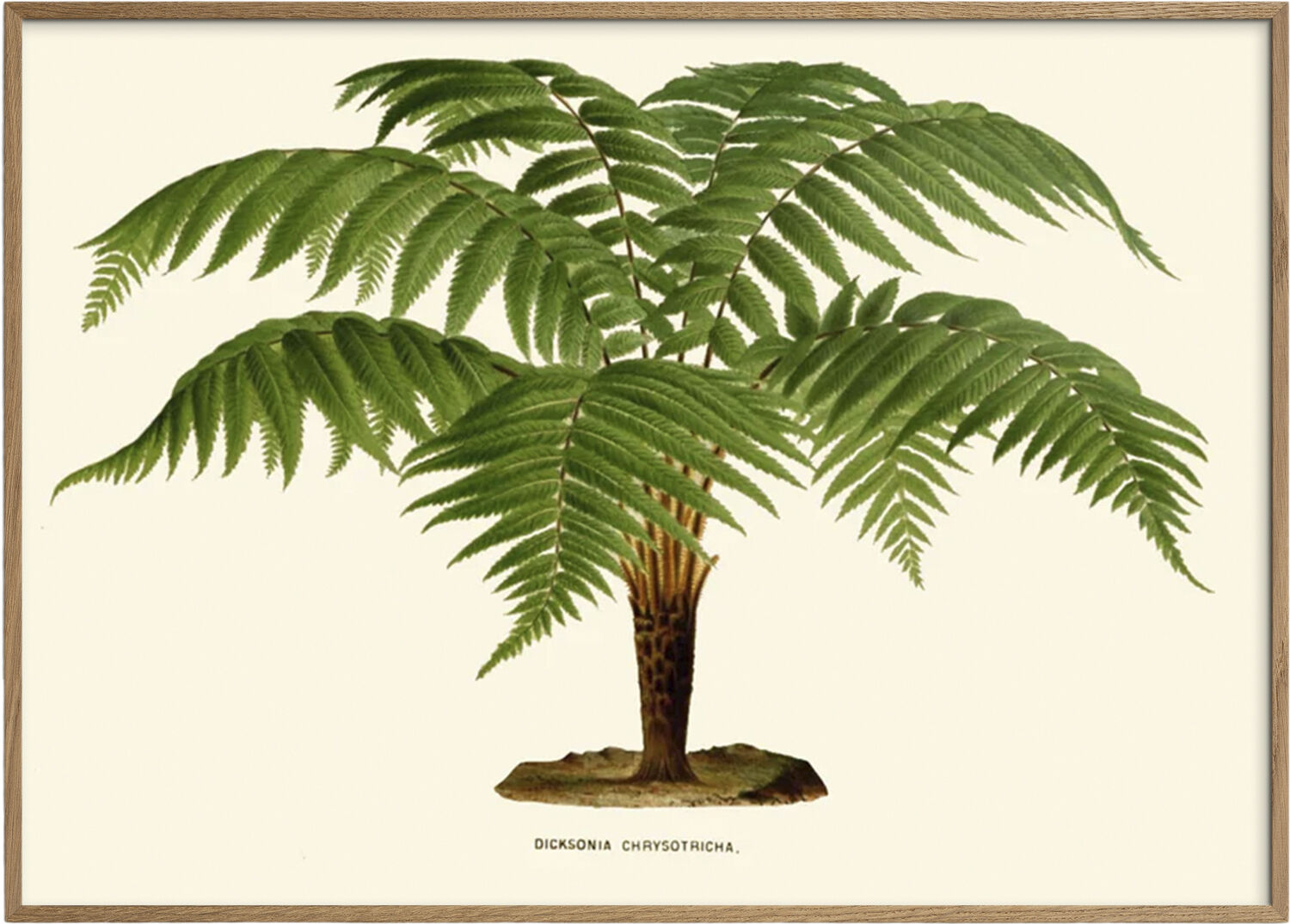 Artimuus - Artimuus 102