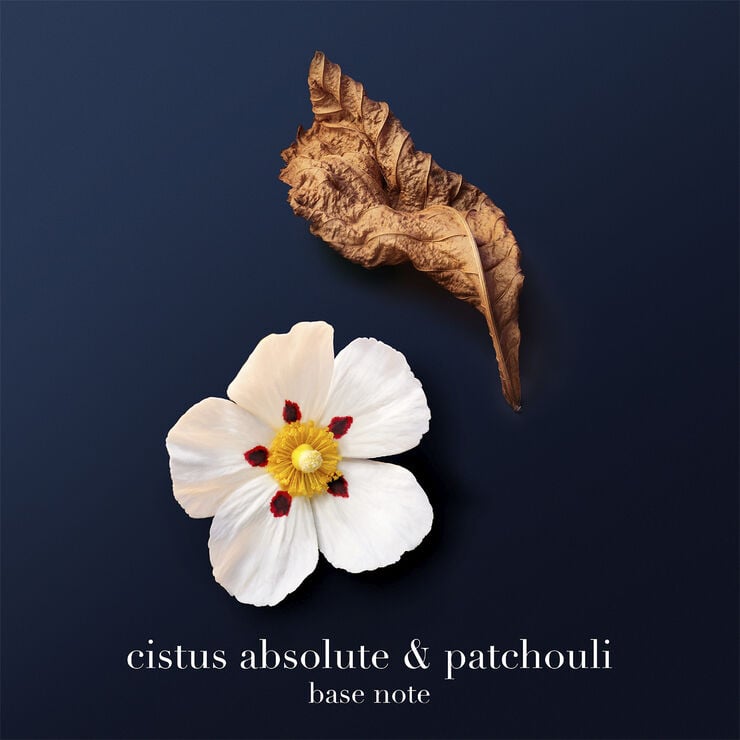 Acqua di Giò Profondo Parfum