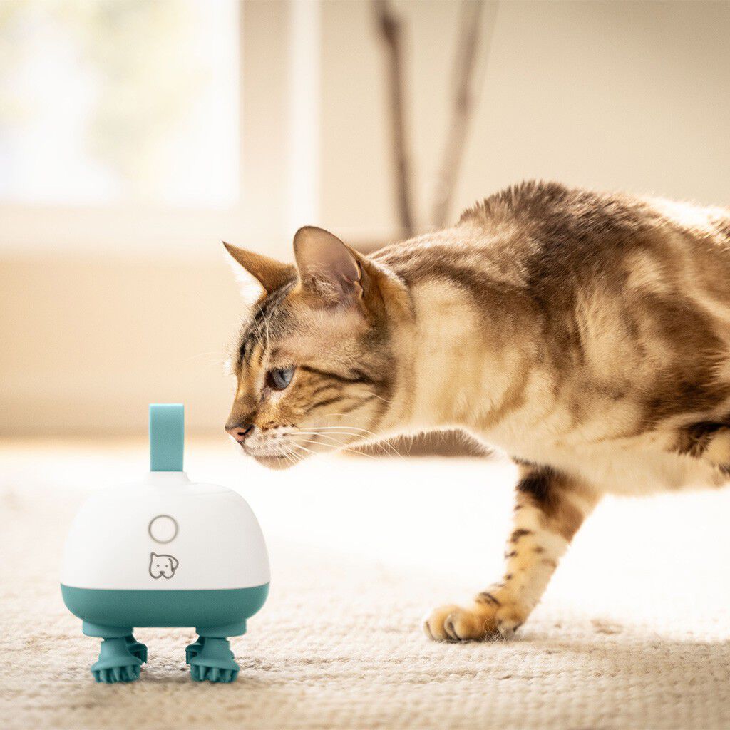 PetCare PP 410 Buddy Massageapparat f&ouml;r husdjur