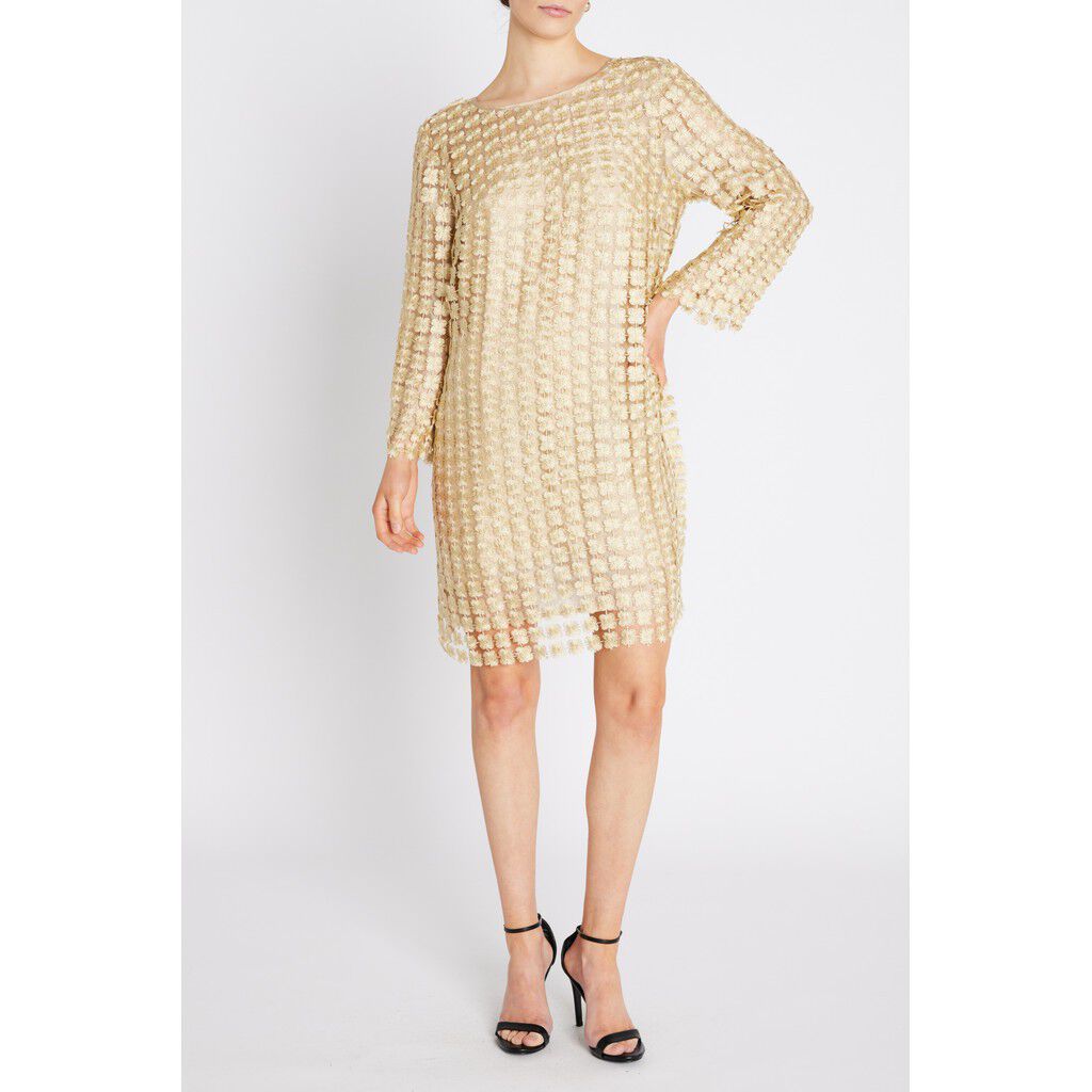 Hedyscepebbyva Dress