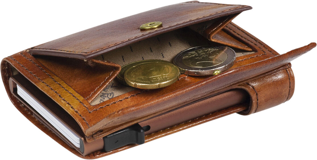 Furbo Cardholder, Van Gogh