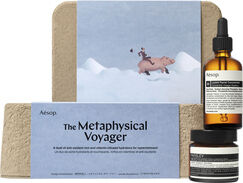 The Metaphysical Voyager