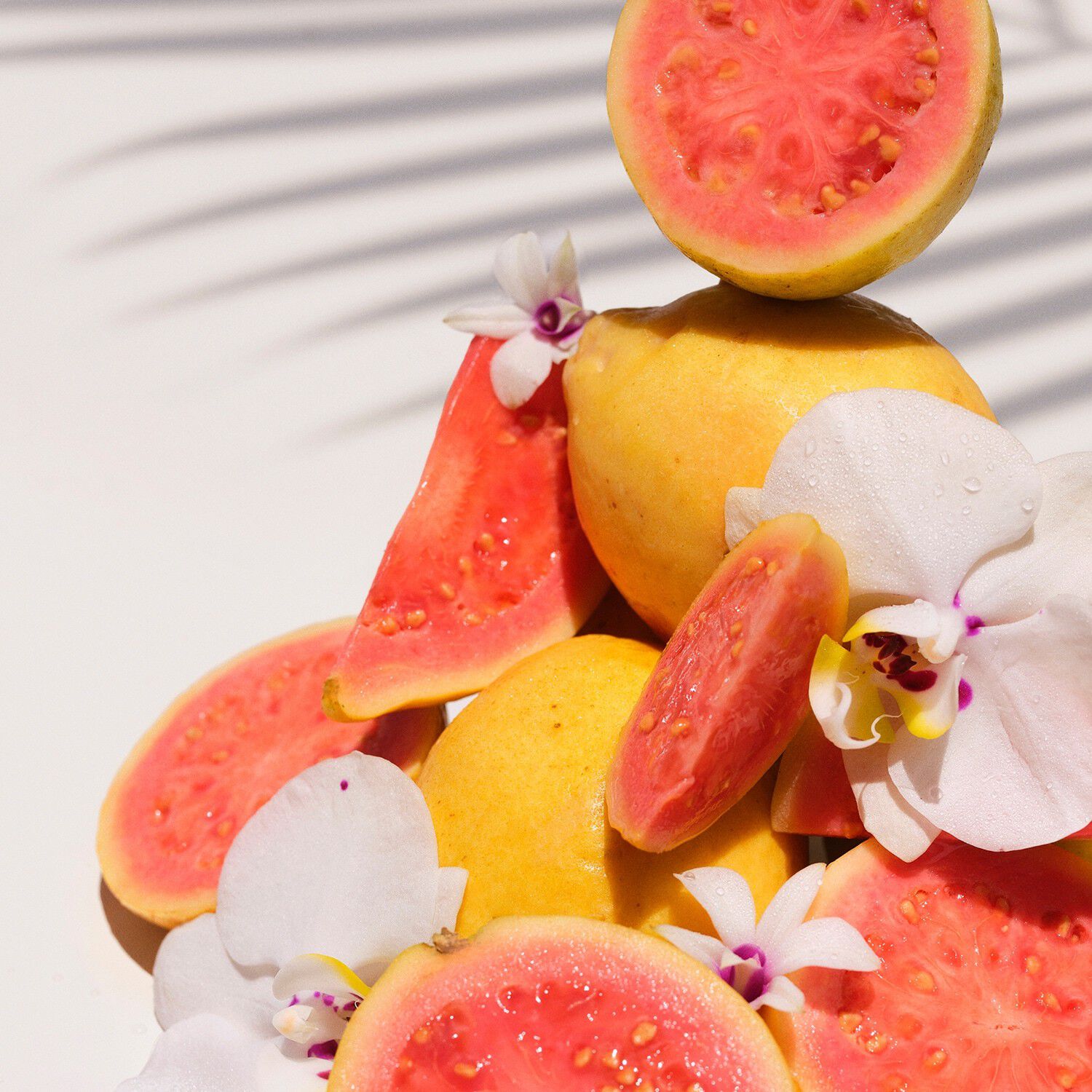 Cheirosa 48 Perfume Mist - Parfymerad mist f&ouml;r kropp och h&aring;r