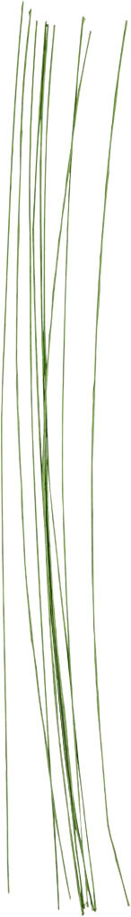 Blomsterst&aelig;ngel, L: 30 cm, diam. 0,6 mm, 20stk.