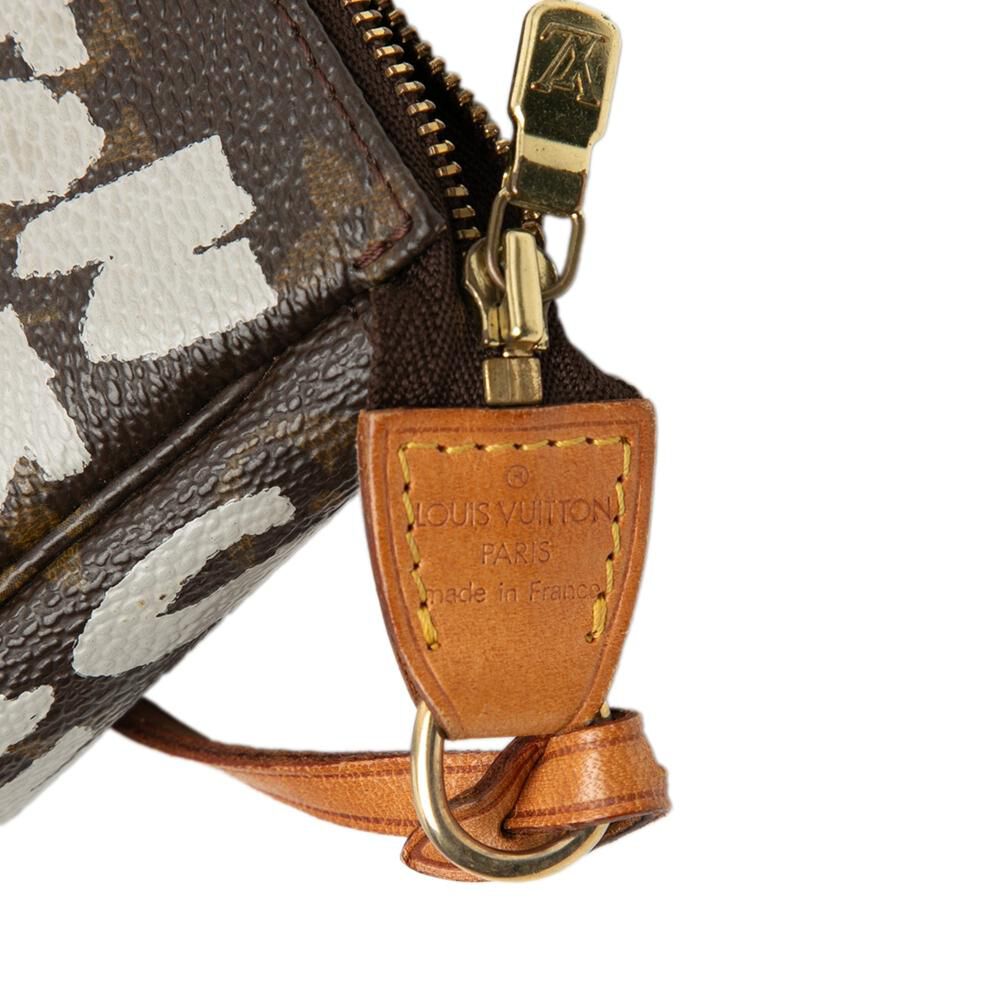 Louis Vuitton Pochette Accessoires