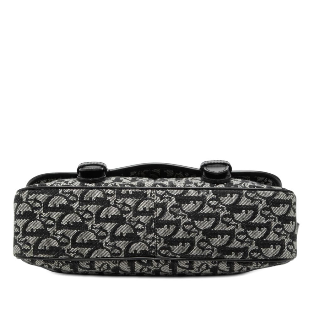 Dior Crossbody Bag