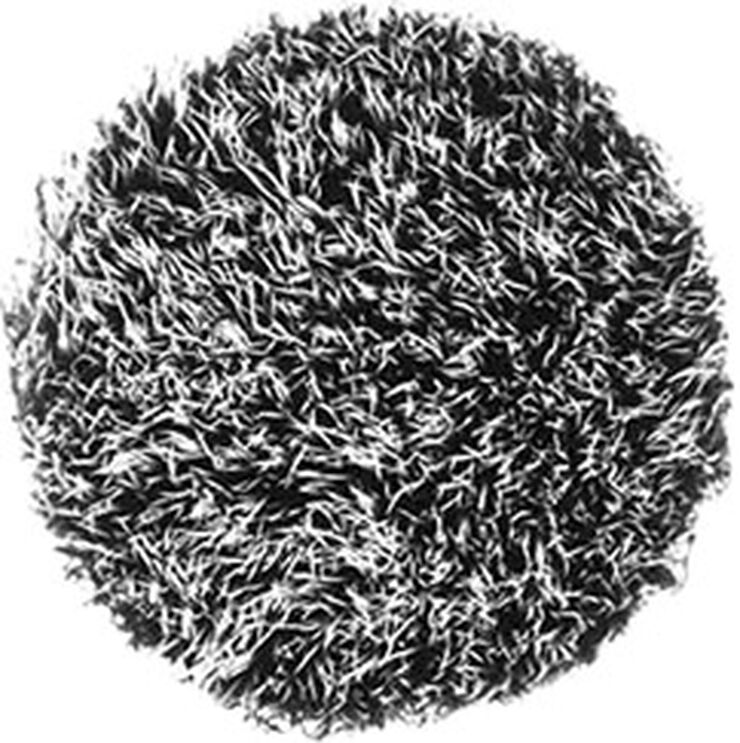 Brushes - 130S Short Duo Fibre