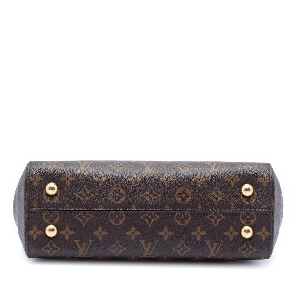 Louis Vuitton Cluny