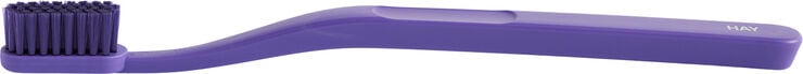 Tann Toothbrush-Purple