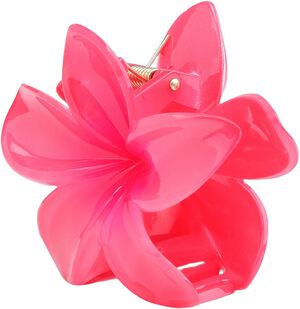Plumeria Bella Big
